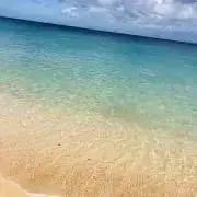 のっちの画像