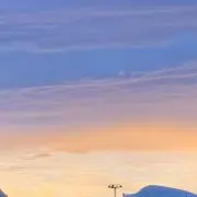 saの画像