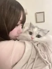 あいごの画像