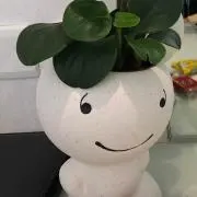 たまきちの画像