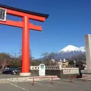 ココペリ。(即買いok)