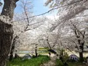 SZの画像
