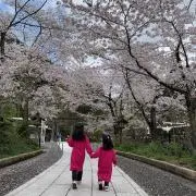non☆fu-の画像