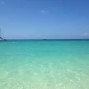 ケニーの画像