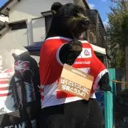 Aotearoaの画像