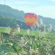 カオルの画像