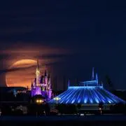 ☆。蒼空☆。.:*・゜プロフ必読⚠️の画像