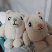 めるかめの画像