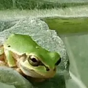 くーさんの画像
