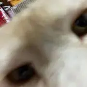 ⚠️発送日注意⚠️の画像