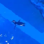 ito0216の画像