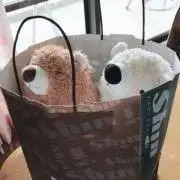 凪の画像