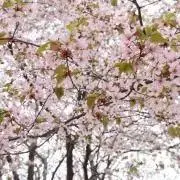 プロフ必読☡✍︎お値下げ対応⭕️の画像