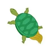 ゼニガメの画像
