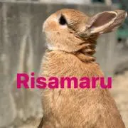 Risamaru