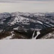 まるまる