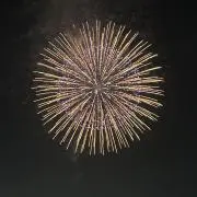 リュウの画像