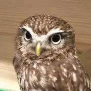 さくの画像