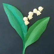 ぷくぷくの画像
