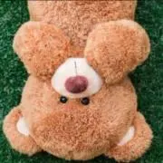 まるちゃん◎の画像