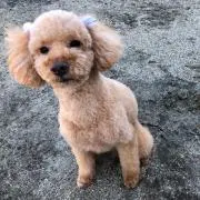 Keiiikoの画像