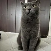 エミベル