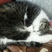 ゆいな