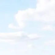 ごんの画像