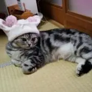 ベルン