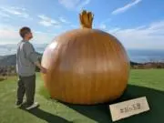 たこやきの画像