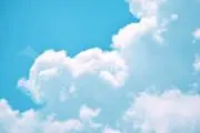 あんこの画像