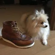 MIKI.の画像