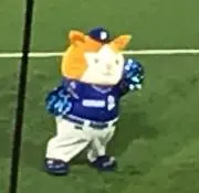 gowasの画像