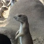 そらまま