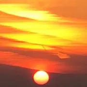 musuhi 33の画像