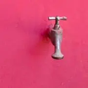ＡＲの画像