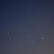 さんご