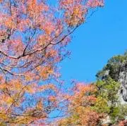 なお