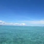 akiikeの画像