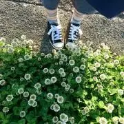 びすこ