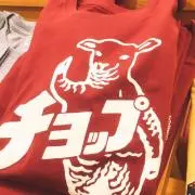 こたろうの画像