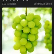 さとプーの画像
