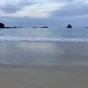 ARY☆Fの画像