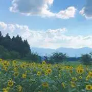 ぼーの