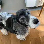 まる111の画像