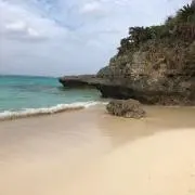 Y