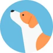 もふもふ犬大好き