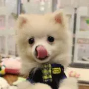 ゆずママの画像