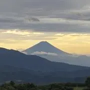 らっこの画像