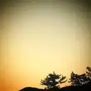 gyaahsau19の画像